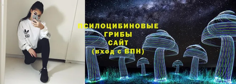 Псилоцибиновые грибы Psilocybe  Ефремов 